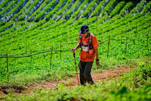 BIB: 
                            <button type="button" onclick="openModal(19163612)" class="btn btn-primary btn-sm float-right btn-popup" data-toggle="modal" data-target=".modal-high-quality">
                        <i class="fas fa-shopping-cart"></i> Add to Cart
                    </button>
                                            <button type="button" onclick="isThisMe(19163612, true)" class="btn btn-success btn-sm float-right btn-popup btn-isme hidden" data-toggle="tooltip" data-placement="bottom" title="นี่คือรูปของคุณใช่ไหม คลิกที่นี่เพื่อเอาเข้าอัลบั้ม">
                        <i class="fas fa-plus"></i> Add to album
                    </button>
                    <button type="button" onclick="isThisMe(19163612, false)" class="btn btn-warning btn-sm float-right btn-popup btn-isnotme hidden">
                        <i class="fas fa-ban"></i> Remove from album
                    </button>